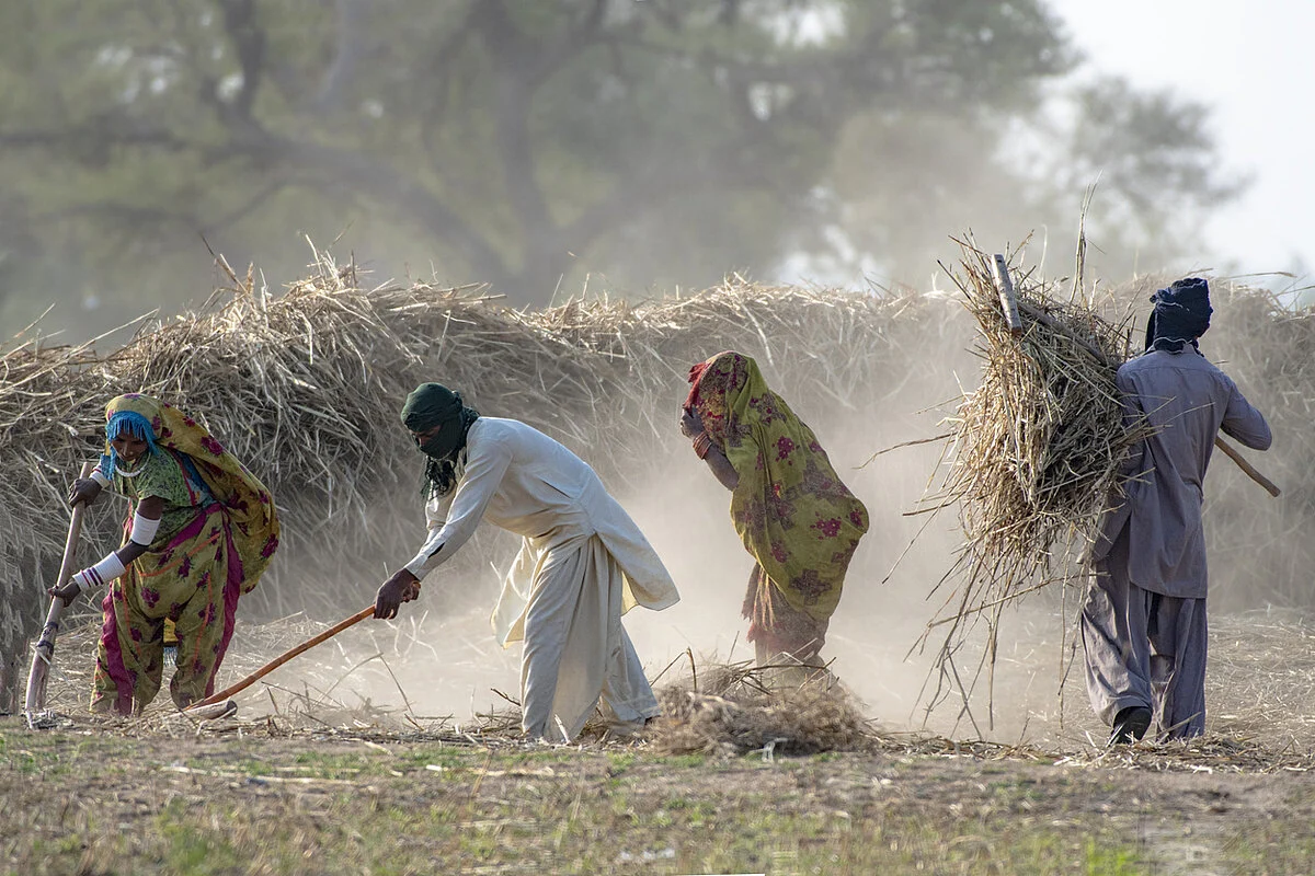 Un grupo de trabajadores de Pakistán